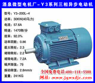 30KW �ļ� Y3ϵ�������첽�綯�� Y3-200L-4